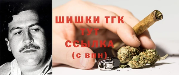 крисы Беломорск