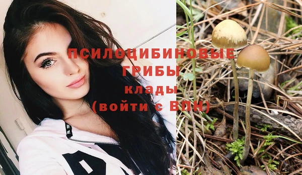кокаин перу Белокуриха