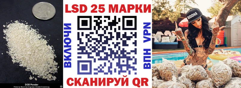 где можно купить наркотик  Лыткарино  мега ссылка  LSD-25 экстази кислота 